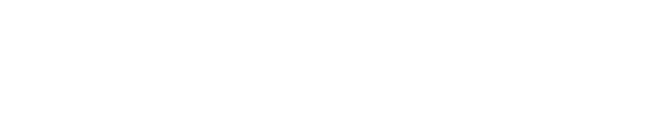 Privacy Polo logo