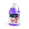 Pressure Washer All Purpose Cleaner Concentrate