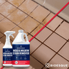 Mold and Mildew Stain Remover - Restoration