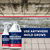 Mold and Mildew Stain Remover - Restoration