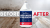 Mold and Mildew Stain Remover - Restoration