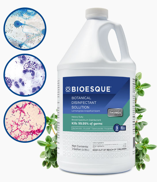 Bioesque Disinfectant Solution Cleaning and Sterilization Efficacy Image