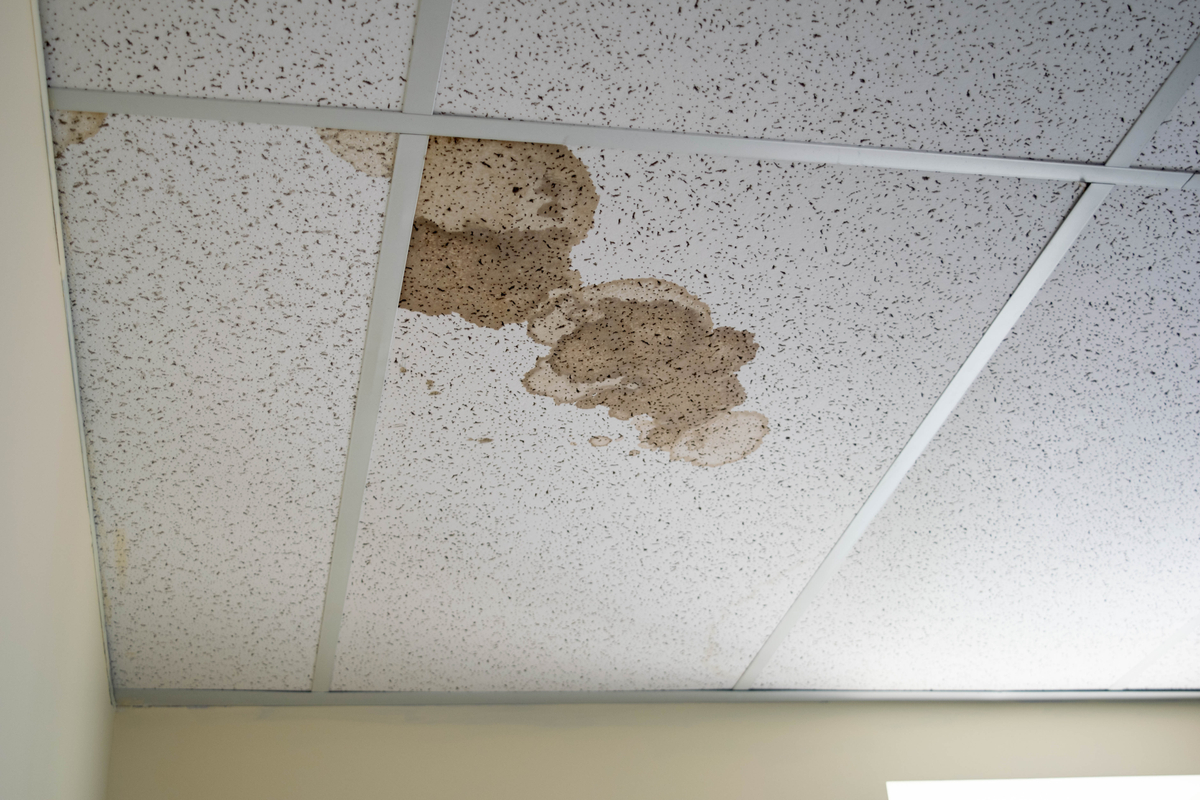 How to Prevent Mold in Your Commercial Building - mold stains on ceiling